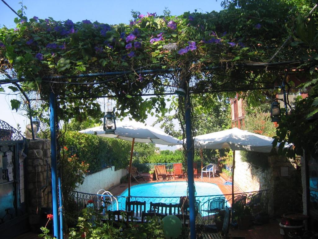 Villa Tehila - By V Club Chain Rosh Piná Exterior foto